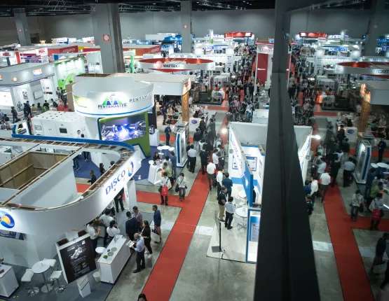 Exhibition Activities 2024