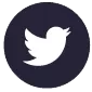 icon-twitter